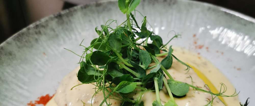 Wellness-Hotel Bayerwald-Residenz - Küche