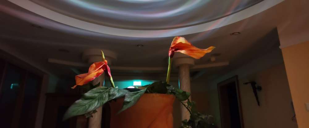 Wellness-Hotel Bayerwald-Residenz - Wellnessbereich