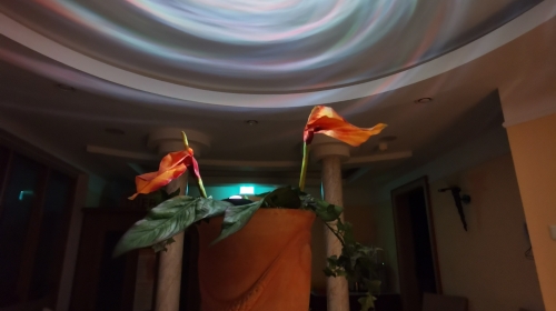 Wellness-Hotel Bayerwald-Residenz - Wellnessbereich