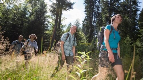 Wellness Hotel Talblick - Umgebung