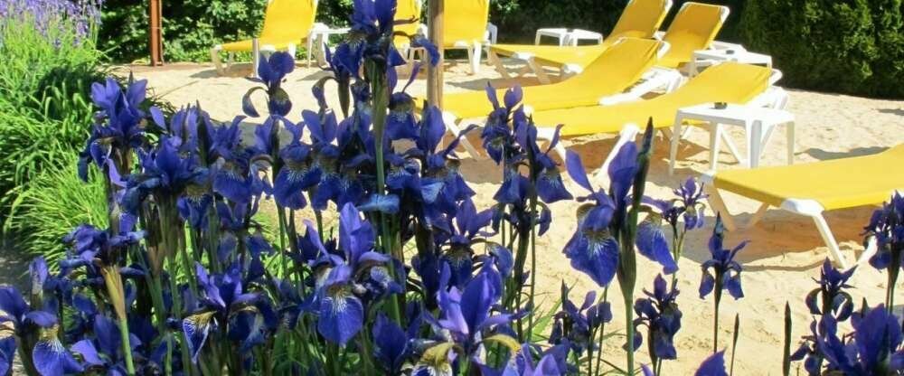 Wellness & Werholung