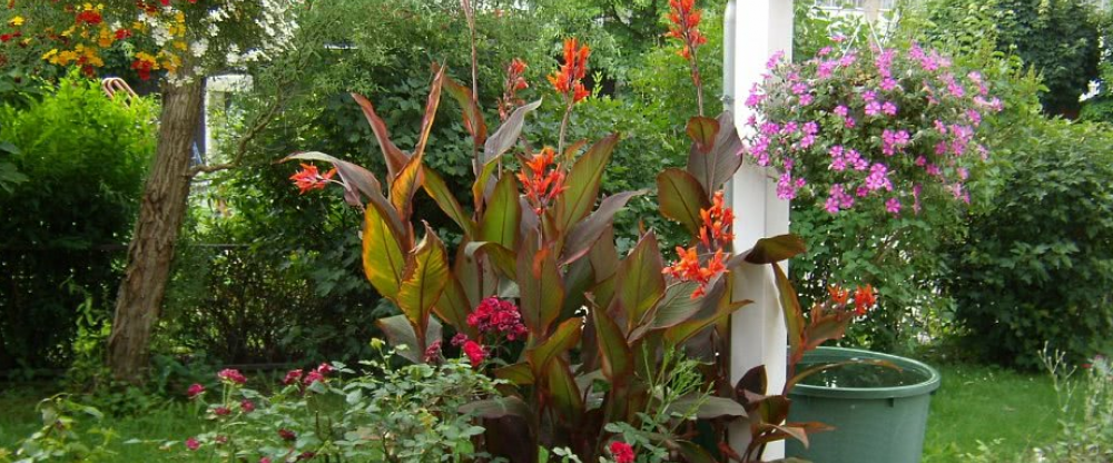 Wellnesshaus Waldmünchen - Terrasse/Außenbereich