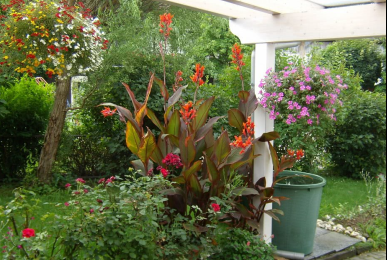 Array, Quelle: Wellnesshaus Waldmünchen