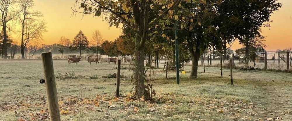 Wellnesshotel Christinenhof & Spa - Umgebung