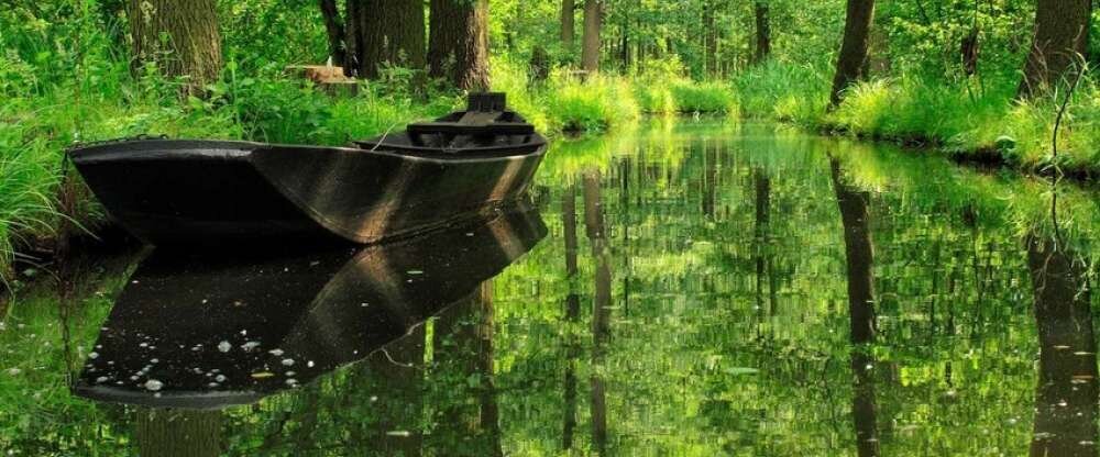 Wellnesshotel Christinenhof & Spa - Umgebung