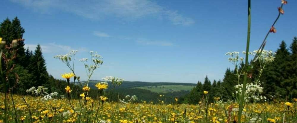 Werrapark Resort Hotel Frankenblick - Umgebung