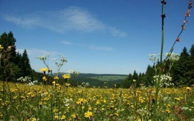 Werrapark Resort Hotel Frankenblick - Umgebung