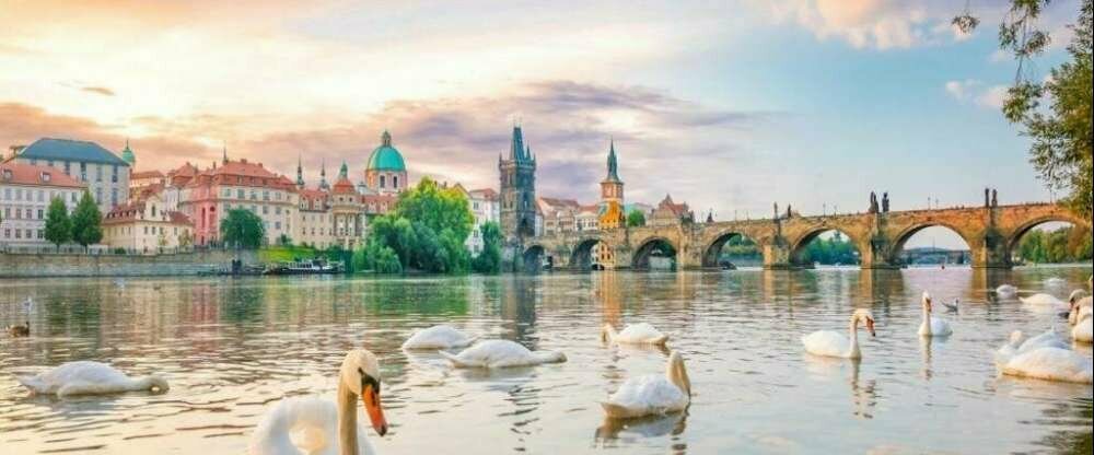 White Swan Boutique Residence Prague - Umgebung