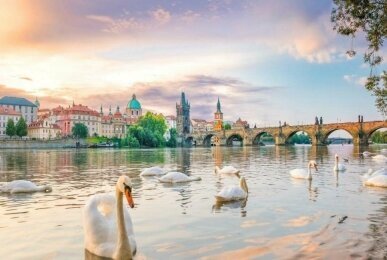 White Swan Boutique Residence Prague - Umgebung, Quelle: White Swan Boutique Residence Prague