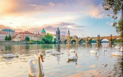 White Swan Boutique Residence Prague - Umgebung