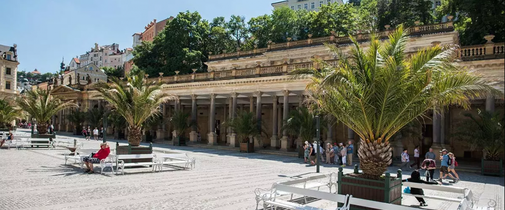 Windsor Medical Complex & Spa Hotel - Umgebung