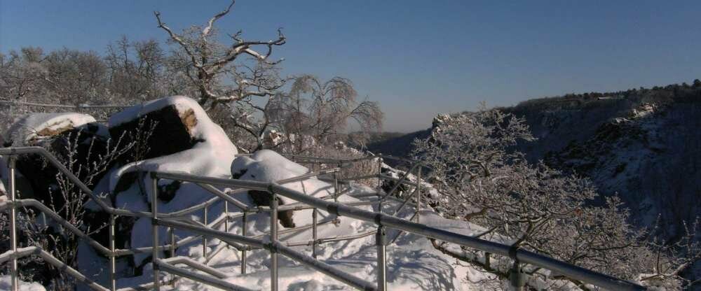 Winter an der Rosstrappe 2.