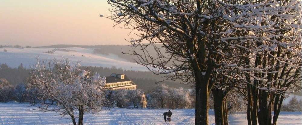 Winter im Thüringer Wald