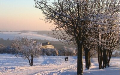 Winter im Thüringer Wald