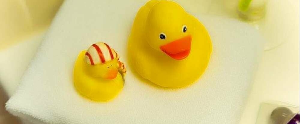 Wir sind Stammgäste