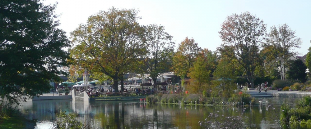 Wirtshaus Zum Wilddieb - Umgebung