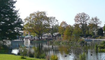 Wirtshaus Zum Wilddieb - Umgebung