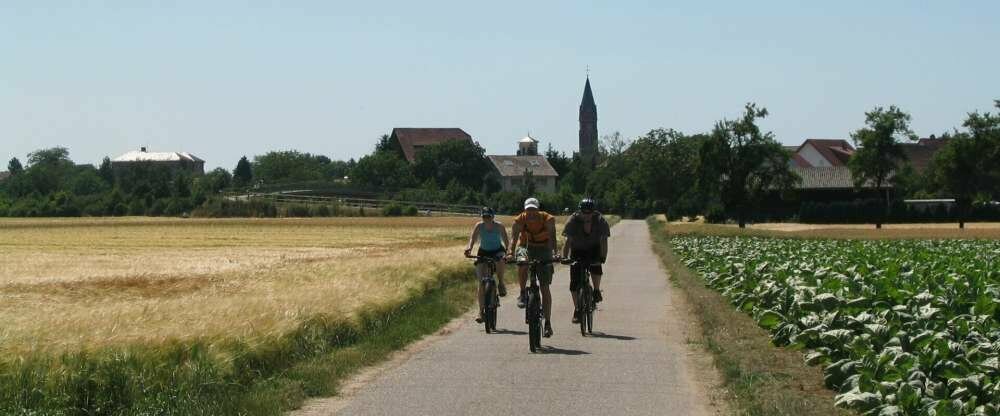 Wohlfühl-Hotel NEU HEIDELBERG - Umgebung