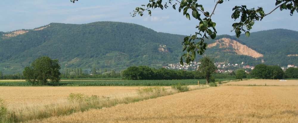Wohlfühl-Hotel NEU HEIDELBERG - Umgebung