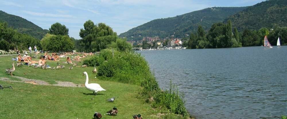 Wohlfühl-Hotel NEU HEIDELBERG - Umgebung