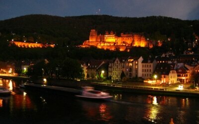 Wohlfühl-Hotel NEU HEIDELBERG - Umgebung