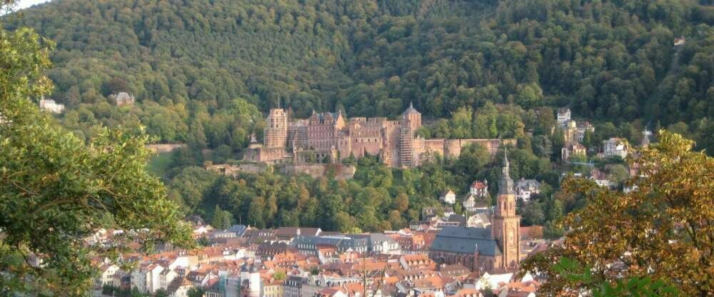 Wohlfühl-Hotel NEU HEIDELBERG - Umgebung
