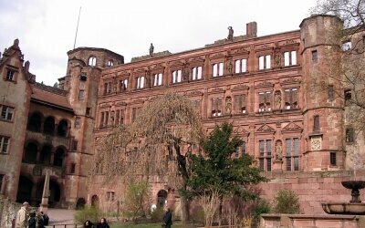 Wohlfühl-Hotel NEU HEIDELBERG - Umgebung