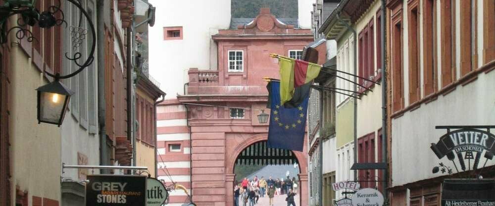 Wohlfühl-Hotel NEU HEIDELBERG - Umgebung