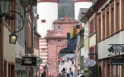 Wohlfühl-Hotel NEU HEIDELBERG - Umgebung