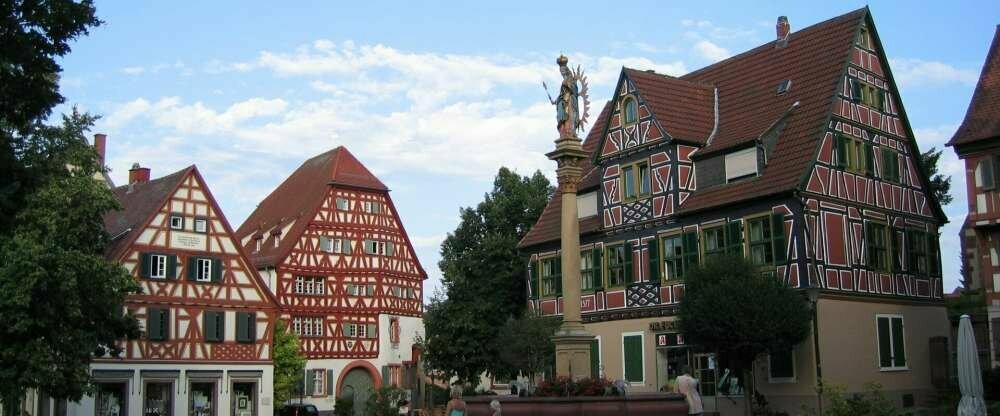 Wohlfühl-Hotel NEU HEIDELBERG - Umgebung