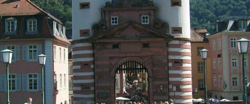 Wohlfühl-Hotel NEU HEIDELBERG - Umgebung