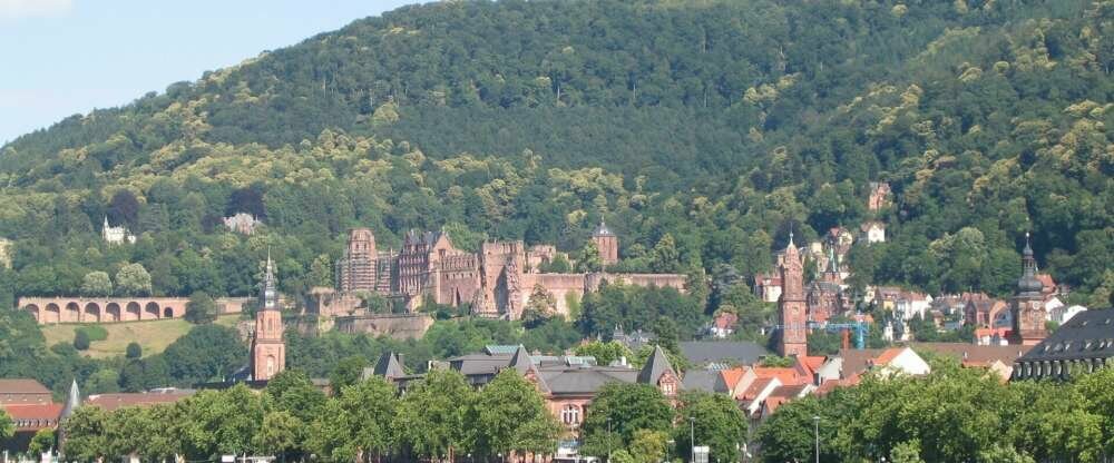 Wohlfühl-Hotel NEU HEIDELBERG - Umgebung