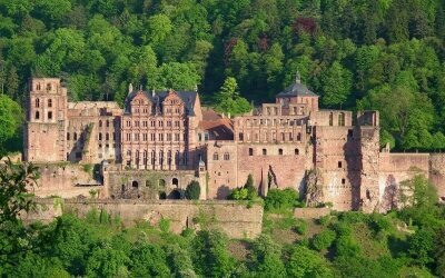 Wohlfühl-Hotel NEU HEIDELBERG - Umgebung