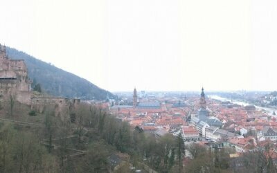 Wohlfühl-Hotel NEU HEIDELBERG - Umgebung