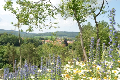 Array, Quelle: Wohlfühlhotel DER JÄGERHOF