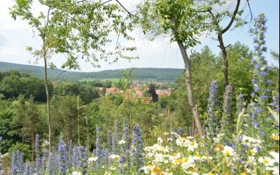 Wohlfühlhotel DER JÄGERHOF - Umgebung