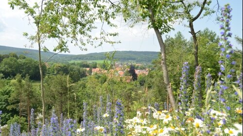 Wohlfühlhotel DER JÄGERHOF - Umgebung