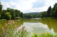 Wohlfühlhotel DER JÄGERHOF - Umgebung