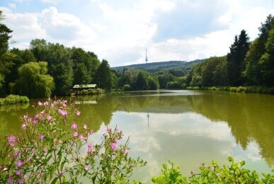 Wohlfühlhotel DER JÄGERHOF - Umgebung, Quelle: Wohlfühlhotel DER JÄGERHOF