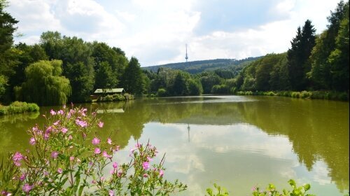 Wohlfühlhotel DER JÄGERHOF - Umgebung