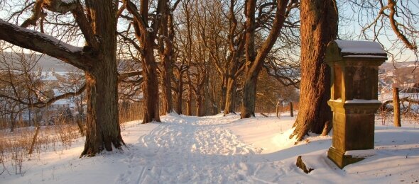 Wohlfühlhotel DER JÄGERHOF - Umgebung, Quelle: Wohlfühlhotel DER JÄGERHOF