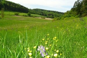 Zum Goldenen Lamm - Umgebung