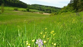 Zum Goldenen Lamm - Umgebung