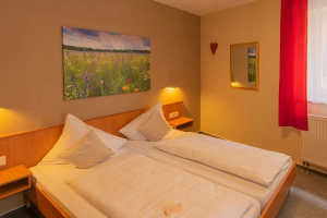 Business Doppelzimmer zur Einzelnutzung, Quelle: (c) Gasthaus & Hotel Drei Lilien