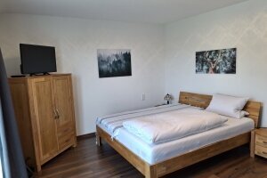 Großes Einzelzimmer, Quelle: (c) Landgasthof Grüner Baum