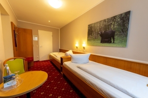 Standard Doppelzimmer, Quelle: (c) Hotel Zum Goldenen Löwen