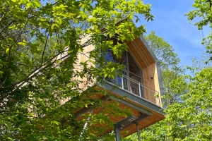 Baumwipfelhaus, Quelle: (c) Jugendstilhotel Trifels 