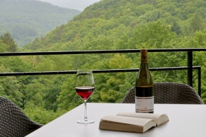 Bergchalet im Grünen, Quelle: (c) Jugendstilhotel Trifels 