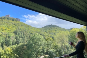 Bergchalet mit Burgblick, Quelle: (c) Jugendstilhotel Trifels 