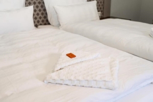 Grüne Suite, Quelle: (c) Schloss Sigrön